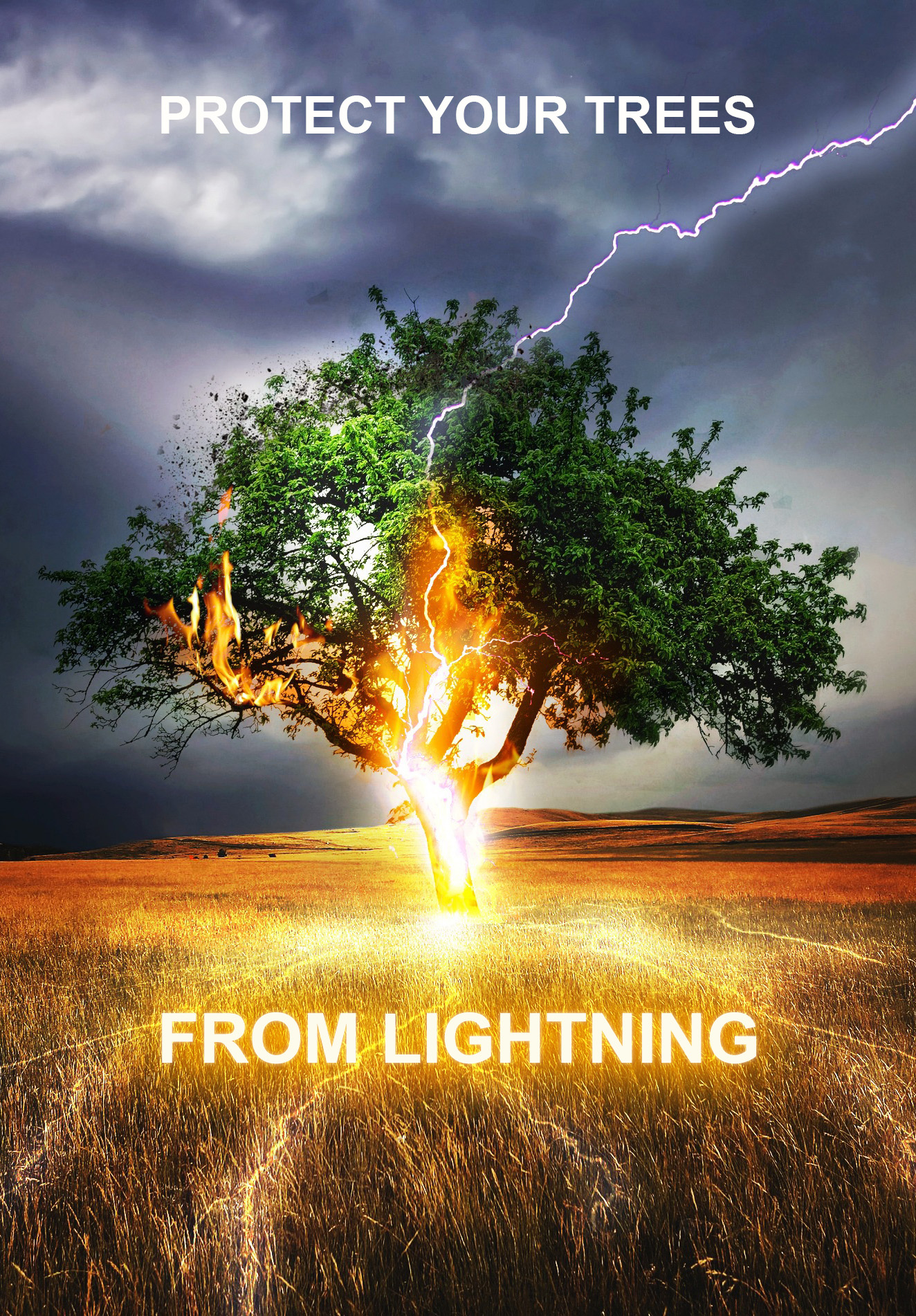 DON'T LET YOUR TREES DIE PREMATURELY