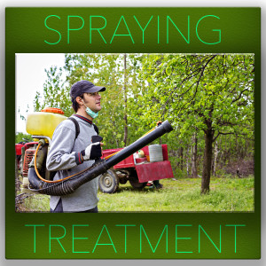 Spraying treatment