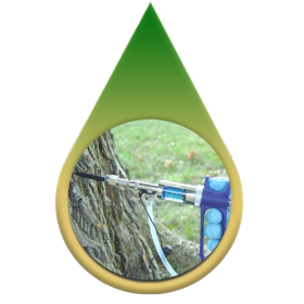 Tree-injections - tree service fort worth