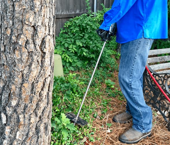 Deep Root Fertilization in Mira Vista, TX