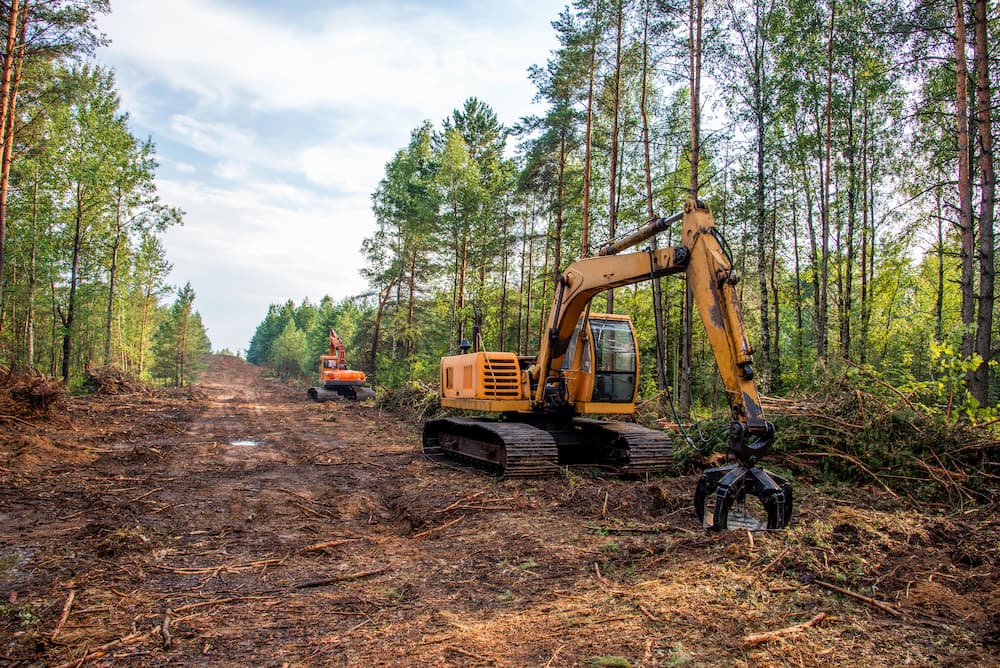 Land Clearing Fort Worth, Texas