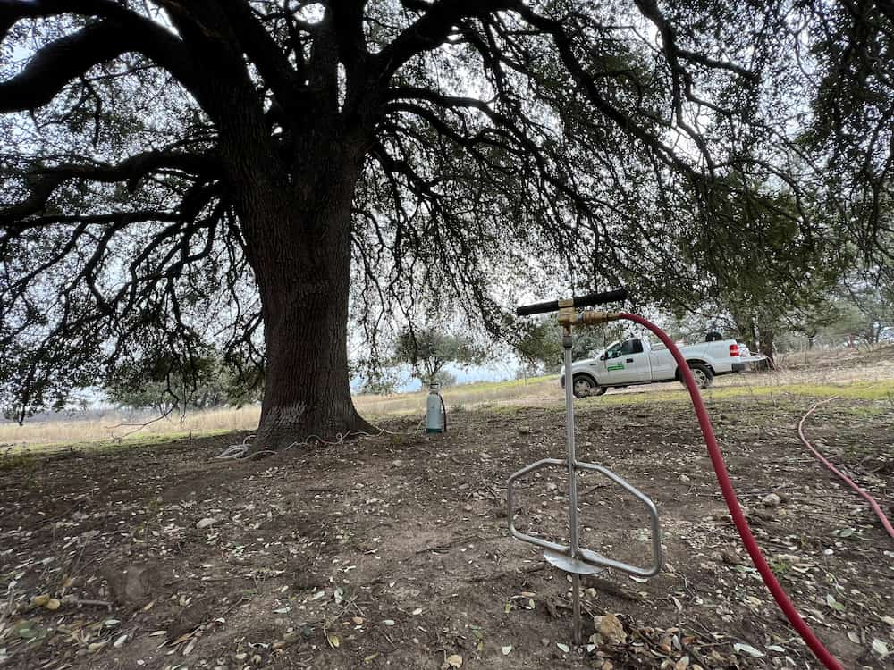 Tree Injections in Fort Worth, TX