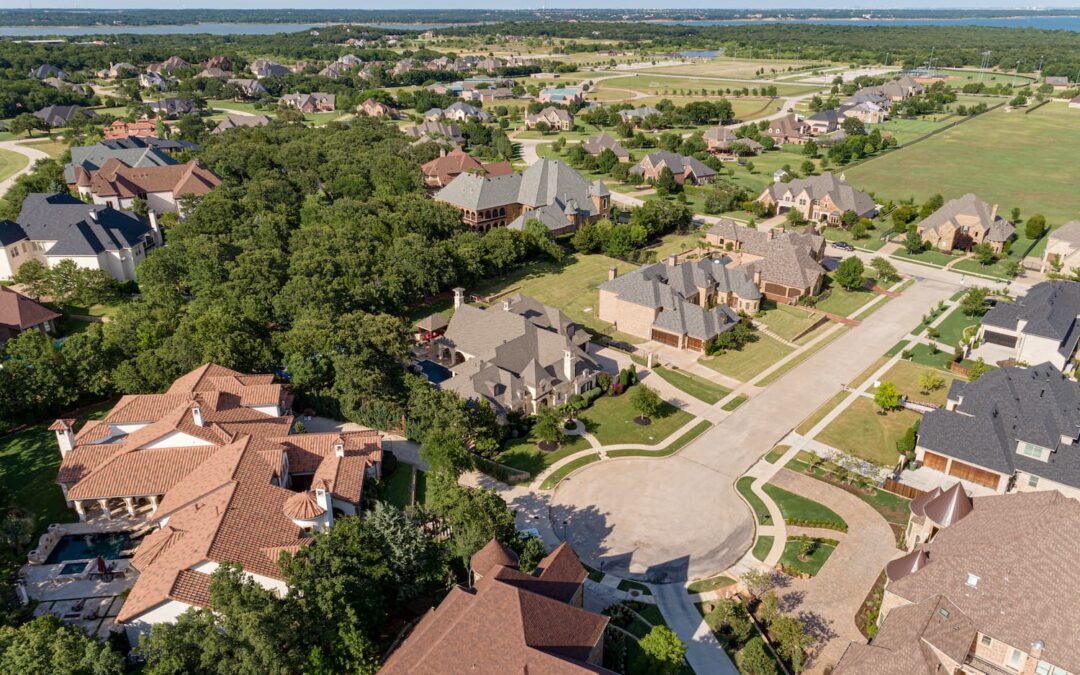 Thriving Through Southlake’s Summer: Essential Tree Care for the Hottest Months