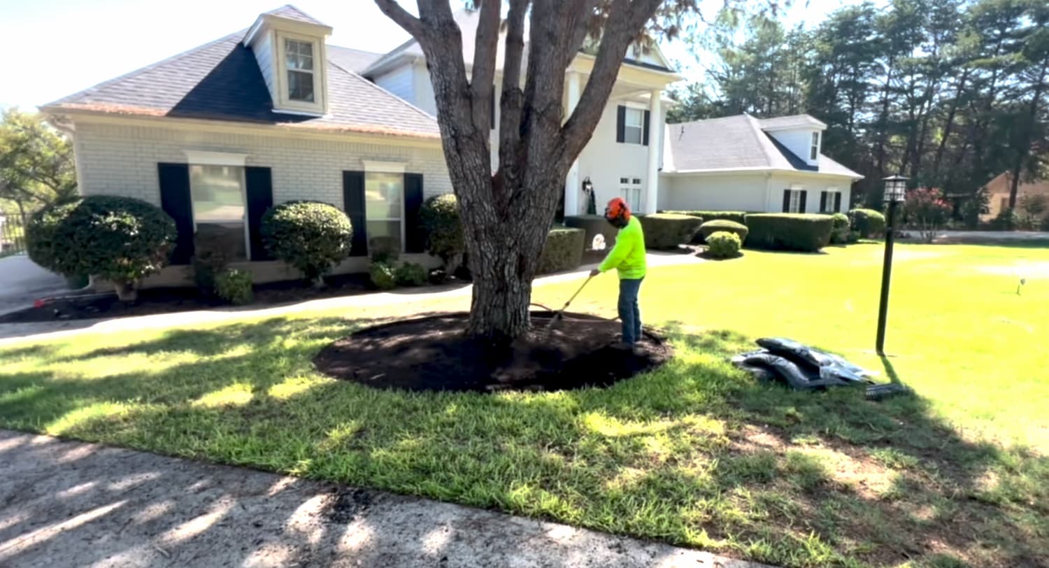 Tree Aeration Services