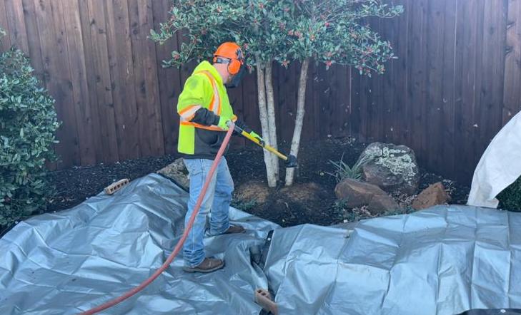 Tree Shrub Aeration Services North Texas