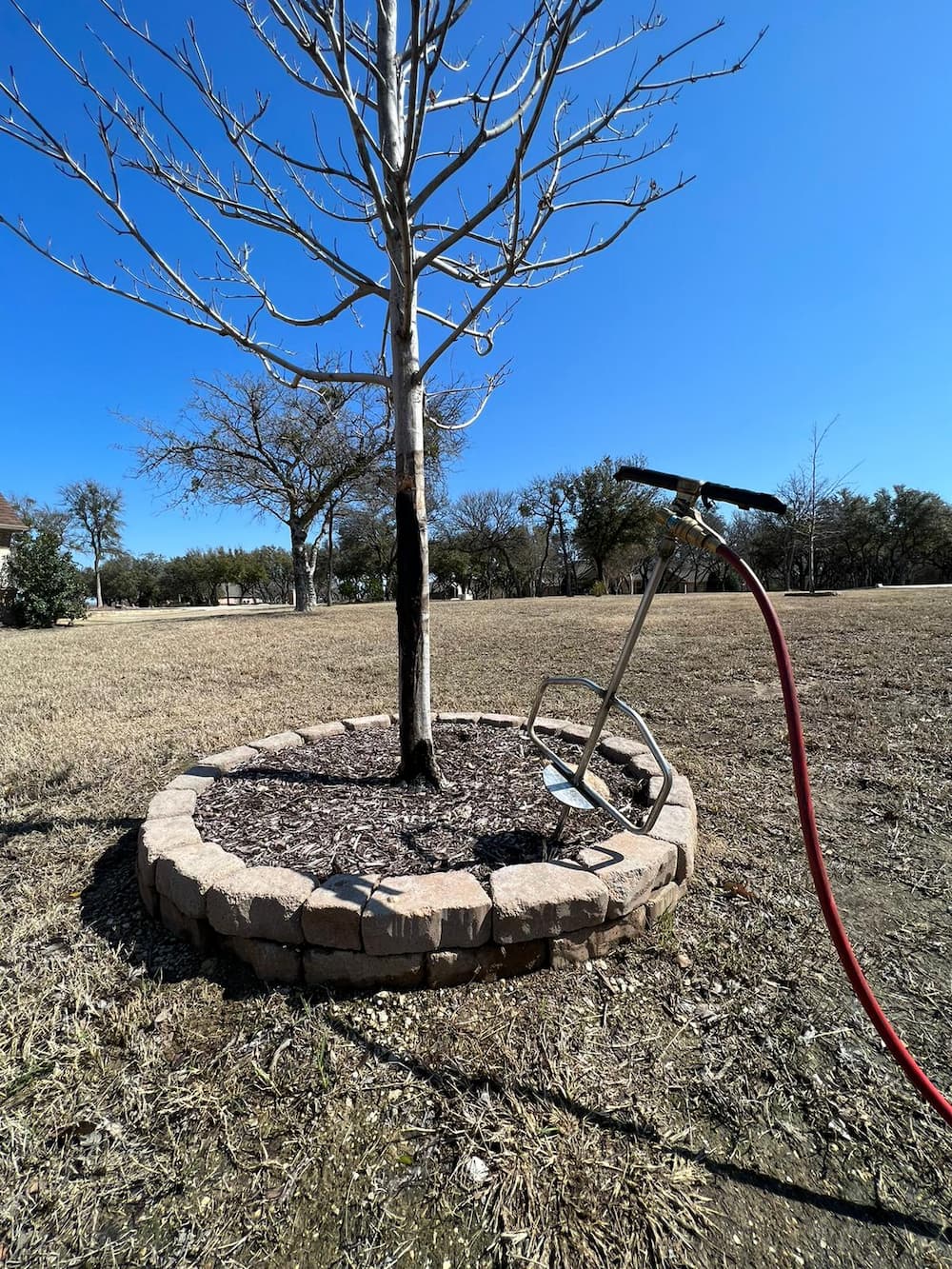 Tree & Shrub Aeration Services in Texas
