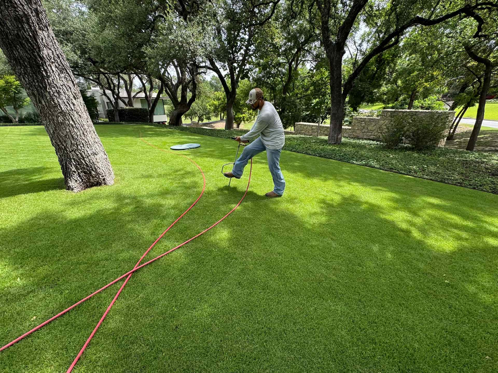 Tree injection service in a lush DFW lawn by certified arborist
