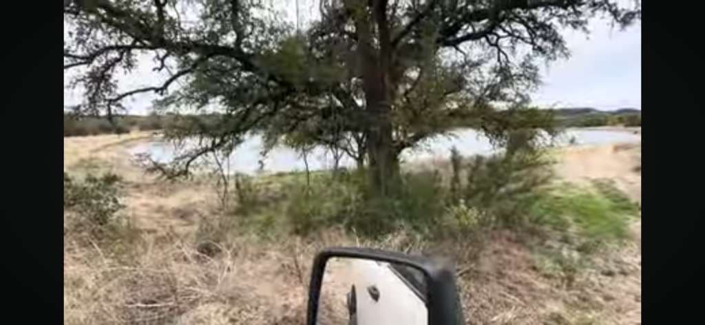 Oak Wilt Management on Texas Ranches: Protecting Live Oaks in Bluffdale, Texas