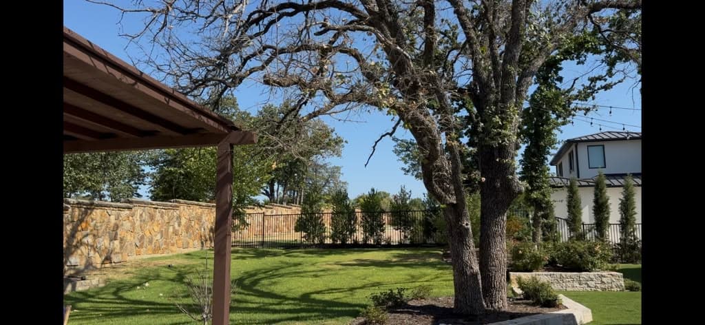 Savannah Post Oak Construction Trauma and Critical Root Damage in Southlake, Texas