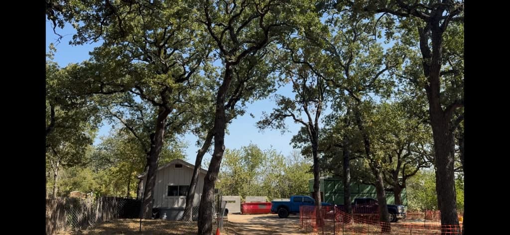 Tree Mitigation for Construction Trauma on Savannah Post Oaks in Weatherford, Texas